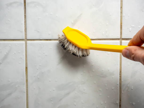 Best Mold Remediation  in Susan Moore, AL