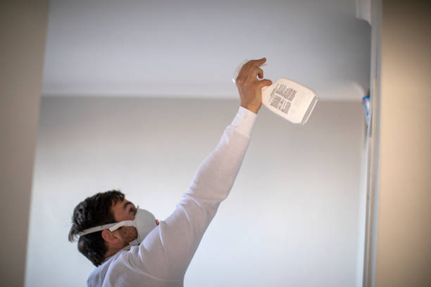 Best Commercial Mold Removal  in Susan Moore, AL