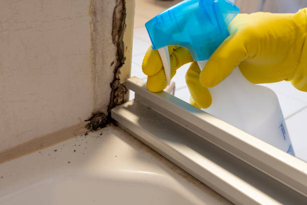 Susan Moore, AL Mold Removal Company