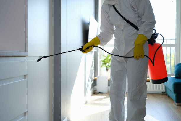Best Crawl Space Mold Removal  in Susan Moore, AL